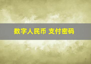 数字人民币 支付密码